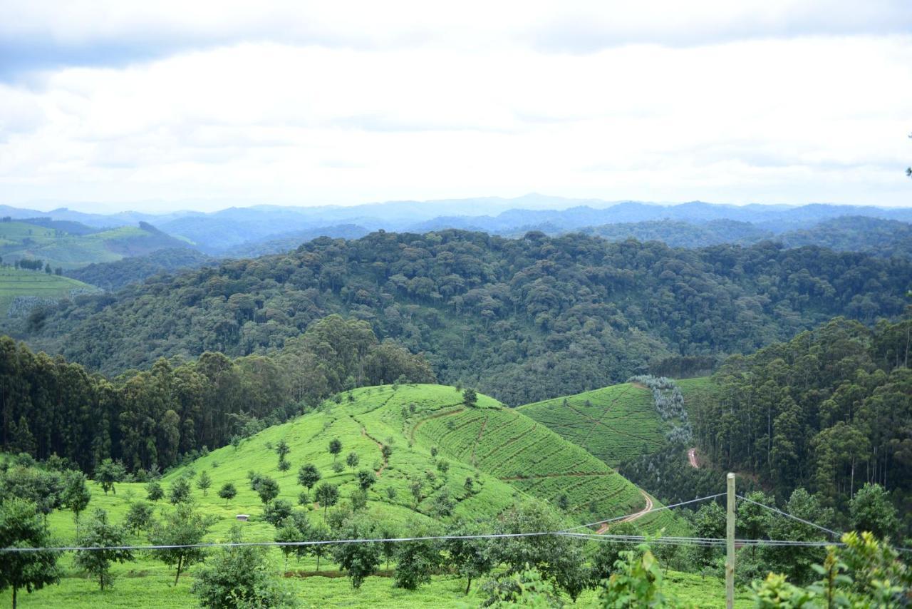 Nyungwe Village Kitabi Экстерьер фото