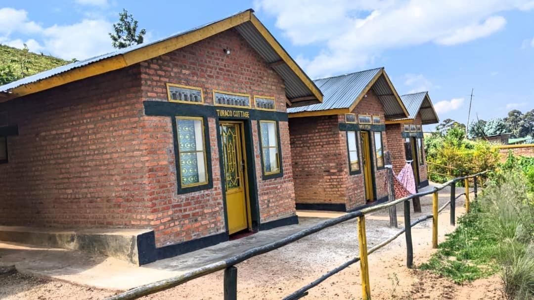 Nyungwe Village Kitabi Экстерьер фото