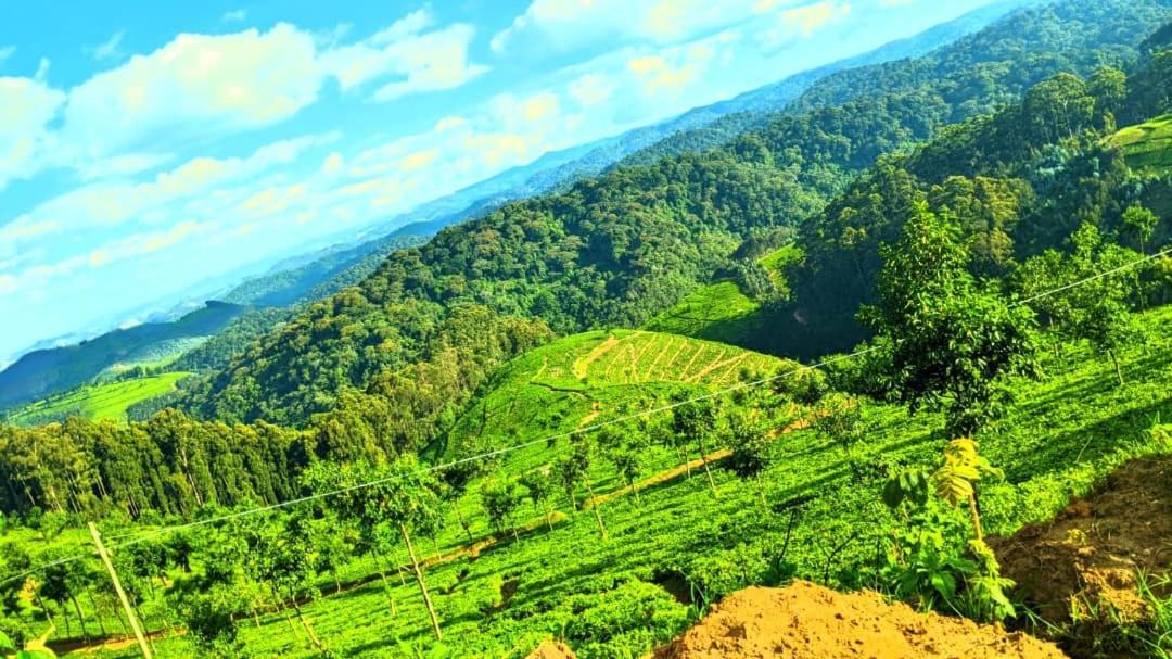 Nyungwe Village Kitabi Экстерьер фото